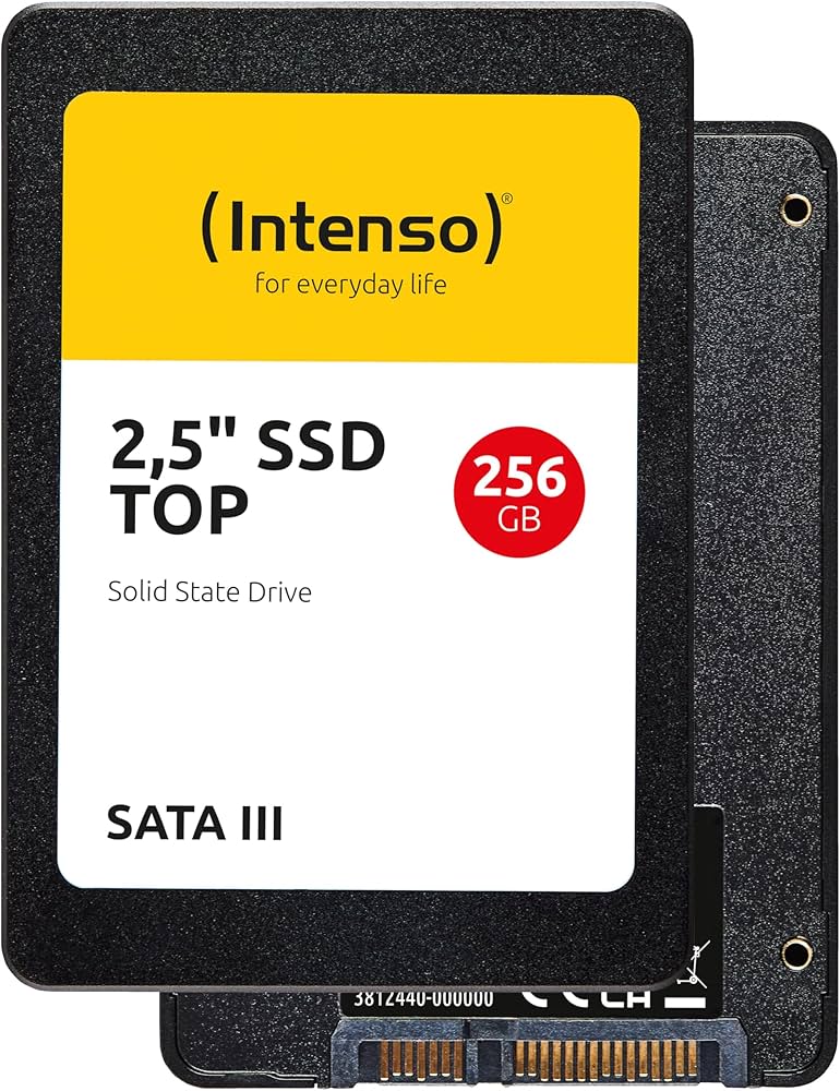 Intenso 6.3cm (2.5") 256GB SSD SATA 3